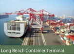 longbeachterminal